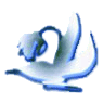 Sneeuwklok logo